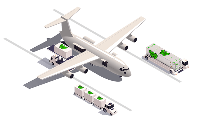 Air Freight