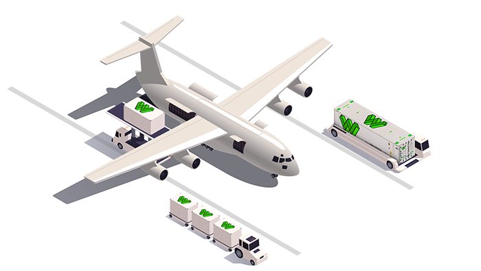 Air Cargo Loading